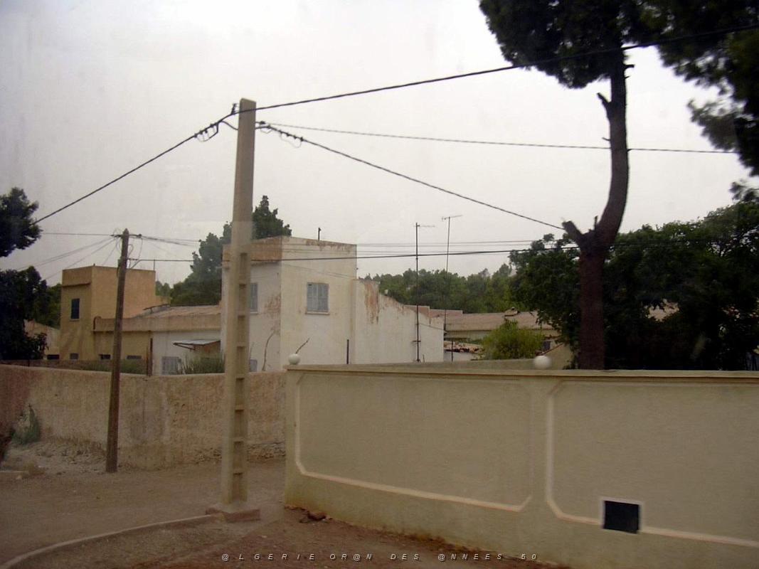 Zellidja- Bou Beker 08- annee 2004.JPG